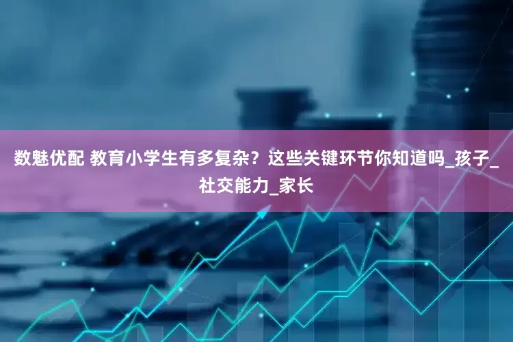 数魅优配 教育小学生有多复杂？这些关键环节你知道吗_孩子_社交能力_家长