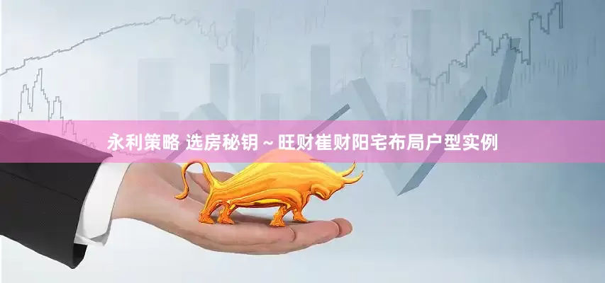 永利策略 选房秘钥～旺财崔财阳宅布局户型实例